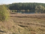 2011