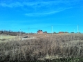 P_20150201_105457_HDR